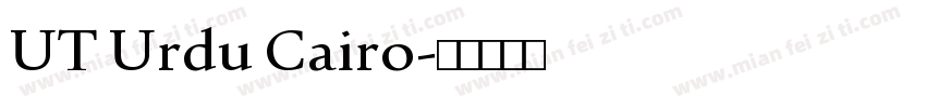 UT Urdu Cairo字体转换